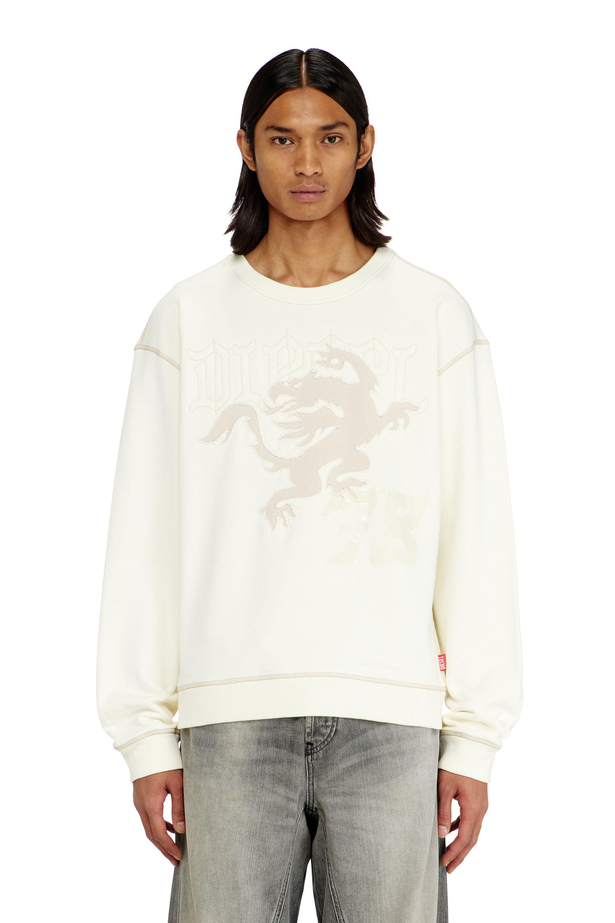 Diesel - S-NORM-AA3, Man's Sweatshirt with embroidery and print in null - 3