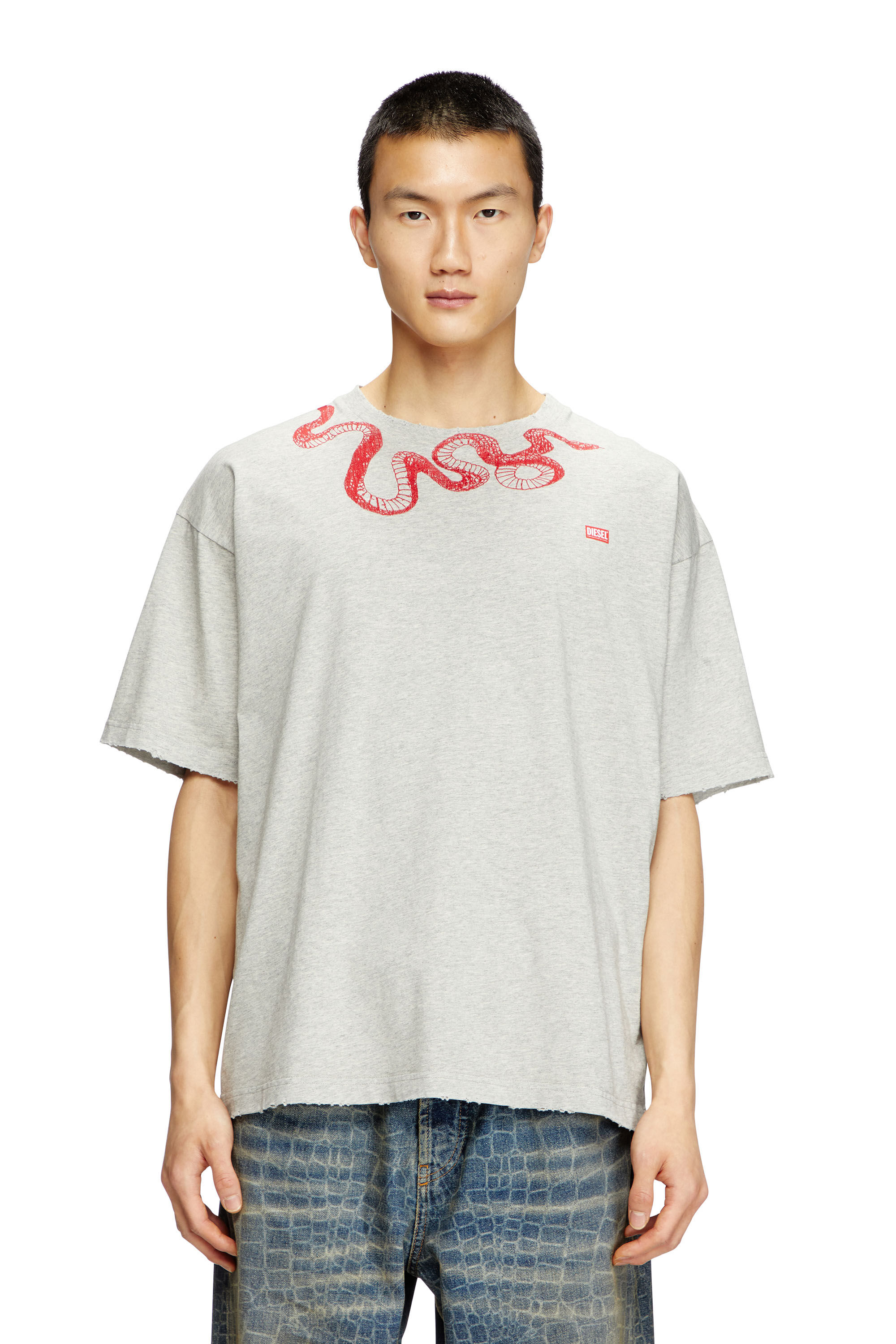 Diesel - CL-T-BOXT-MEL-SNAKE, Unisex's T-shirt with snake embroidery in Grey - 3