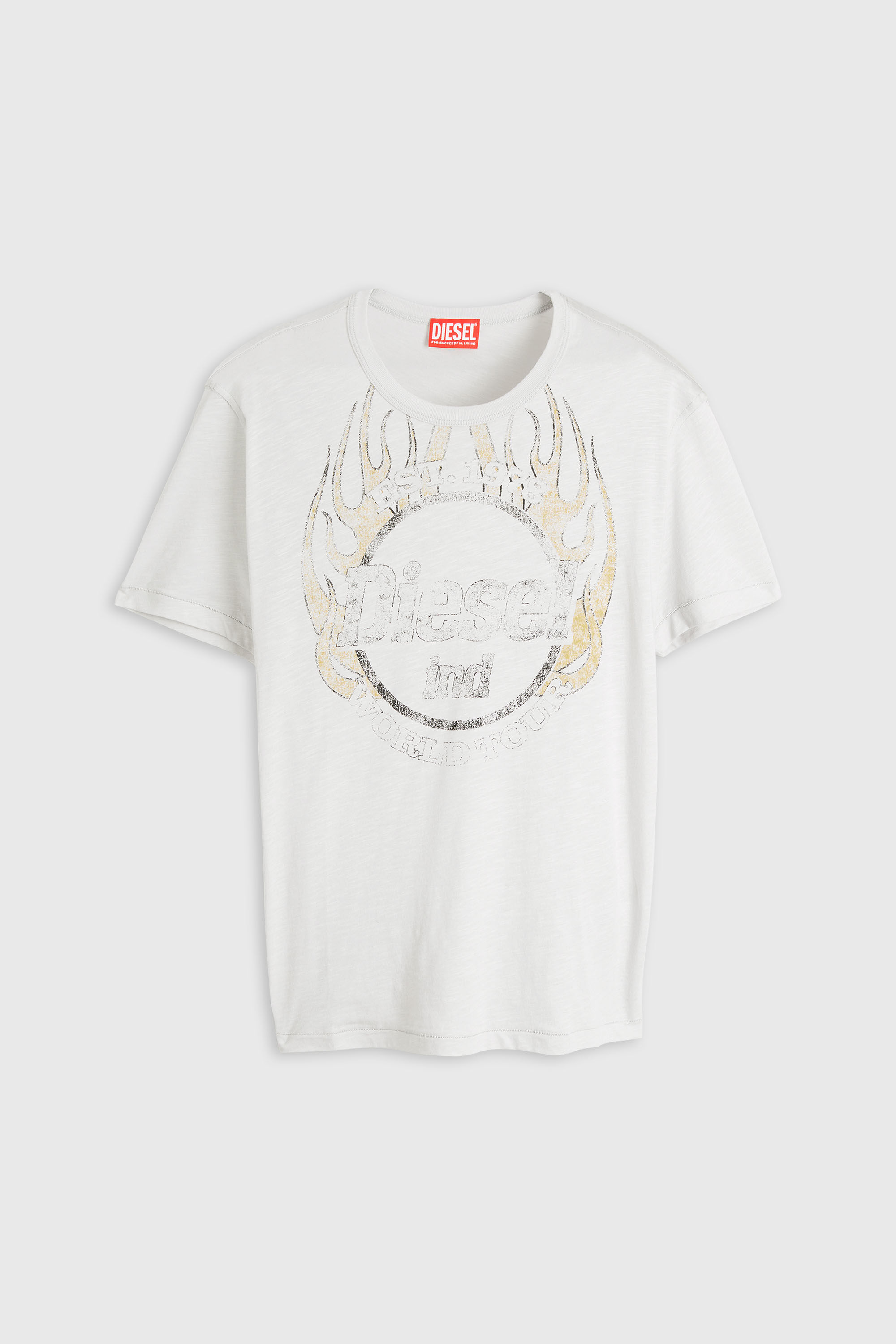 Diesel - T-NOTS, Man's T-shirt in slub-jersey with crack print in White - 2