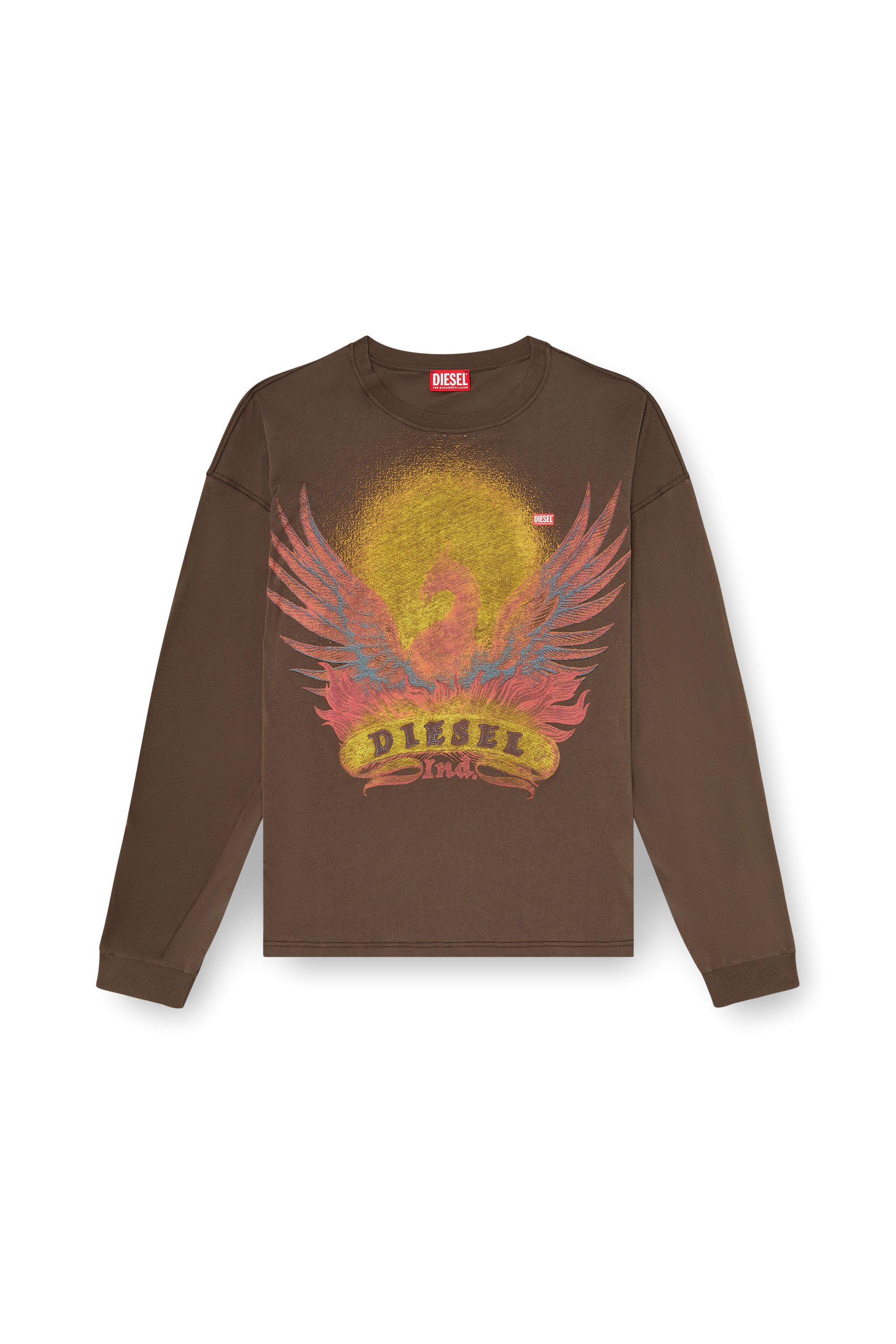 Diesel - T-BOXT-LS-AA1, Man's Long sleeve T-shirt with Phoenix graphic in Brown - 2