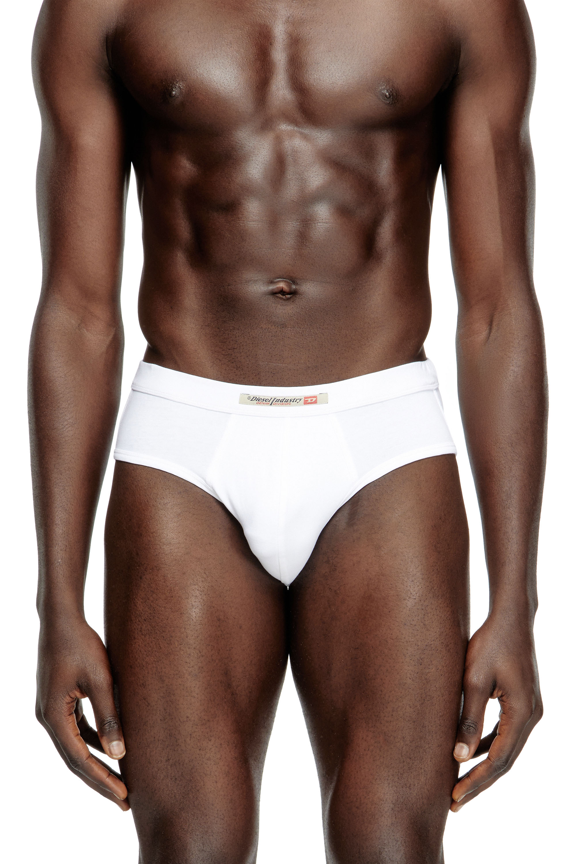 Diesel - ANDY-DNM-2PACK, Man's 2-pack briefs with Diesel Industry flag in White/Black - 3